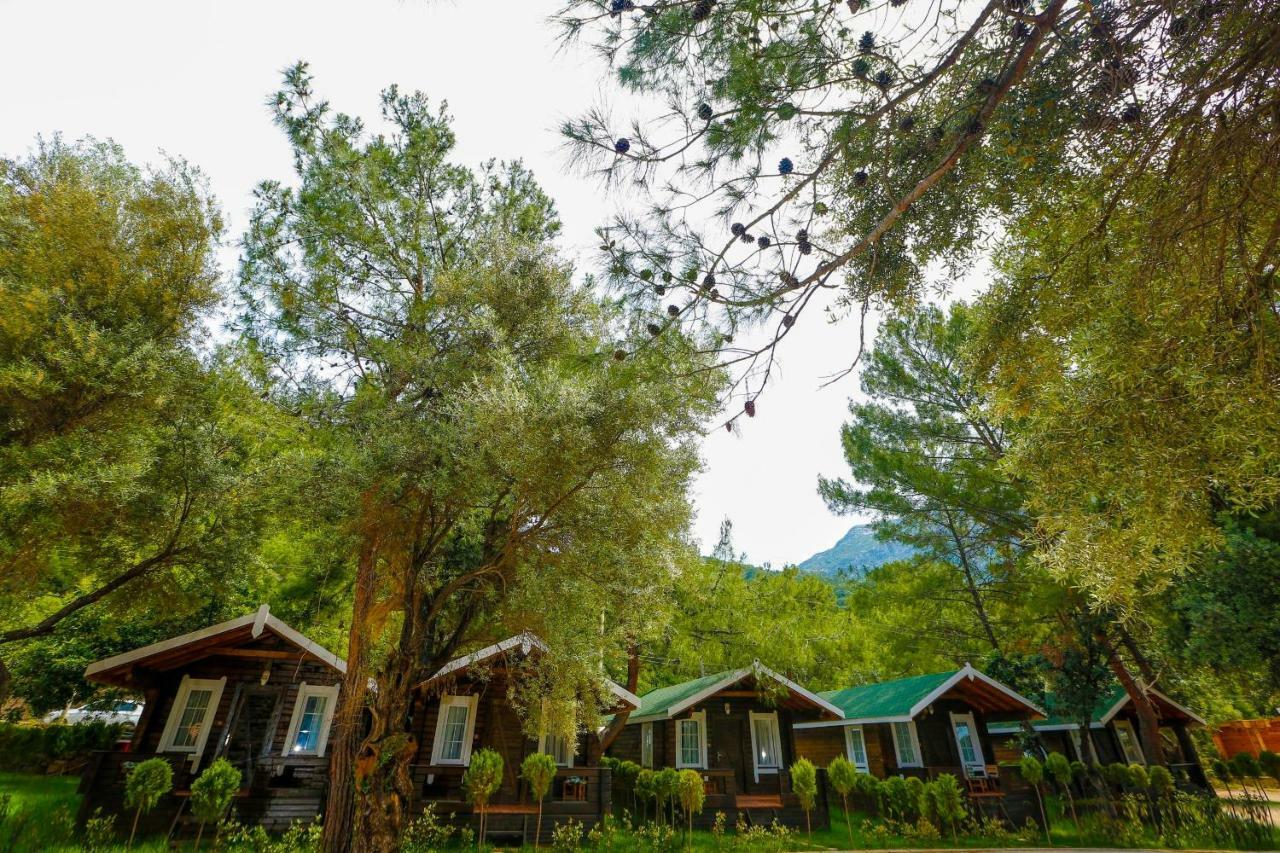 Green Pine Beach & Bungallows Hisaronu Exterior foto